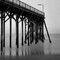 Pier Pilings XX Poster Print by Lee Peterson - Item # VARPDXPSPSN147